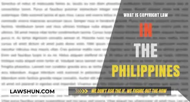 Understanding Copyright Law in the Philippines: Rights, Protection, and Enforcement