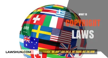 Understanding Copyright Laws: Protecting Creative Works and Intellectual Property