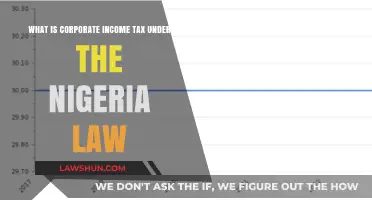 Corporate Income Tax: Understanding Nigeria's Legal Landscape
