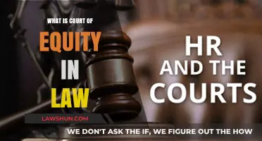 Understanding the Role and Function of a Court of Equity in Law
