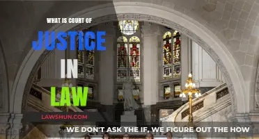 Understanding the Role and Function of the Court of Justice in Law