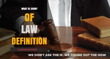 Understanding the Court of Law: Definition, Role, and Legal Significance