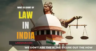 Understanding India's Court System