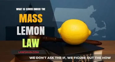Understanding Your Rights: What’s Covered Under the Mass Lemon Law