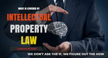 Understanding Intellectual Property Law: What It Covers and Protects