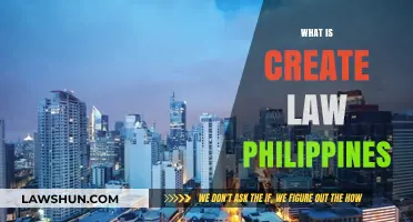 Understanding CREATE Law: Philippines' Tax Reform