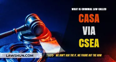 Criminal Law Casa Via CSEA: What's the Deal?