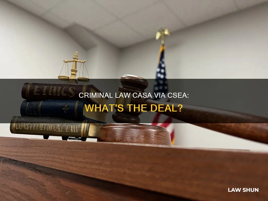 what is criminal law called casa via csea