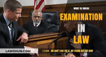 Unraveling the Art of Cross-Examination: A Legal Guide