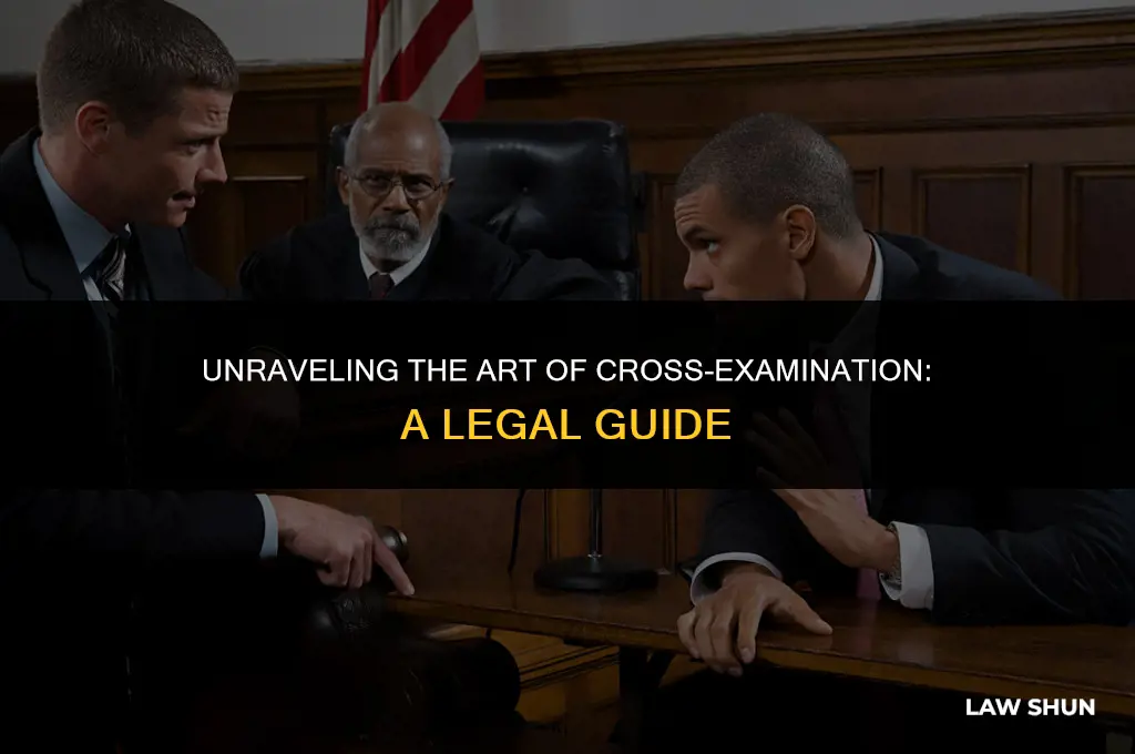 what is cross examination in law