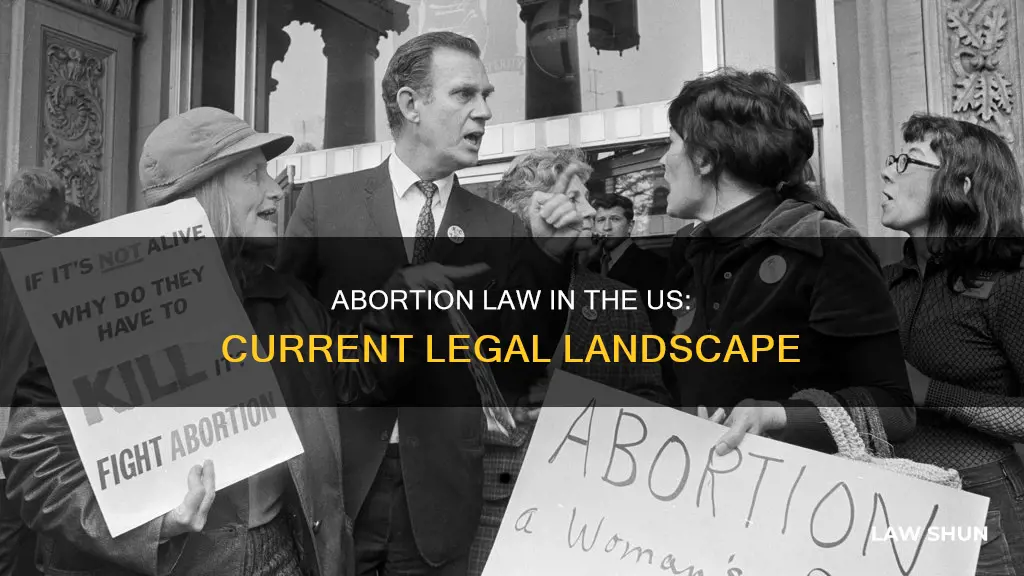 what is current abortion law in us