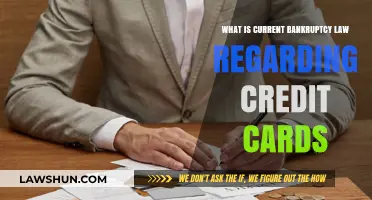 Understanding Current Bankruptcy Laws and Their Impact on Credit Card Debt
