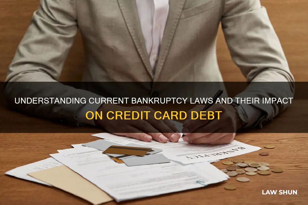 what is current bankruptcy law regarding credit cards