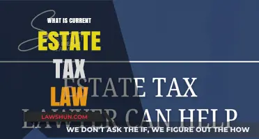 Estate Tax Law: Current Rules and Regulations