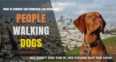 San Francisco Dog Walking Laws: Current Rules for Pet Owners