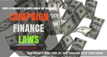 Understanding Federal Campaign Finance Laws: Current Rules and Regulations