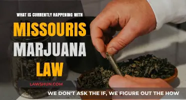Missouri's Marijuana Law: Current Status, Changes, and Future Implications