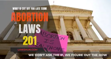 Understanding Late-Term Abortion Laws: The 2021 Cut-Off