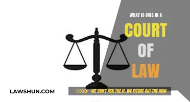 Understanding CWS: Its Role and Significance in Legal Proceedings