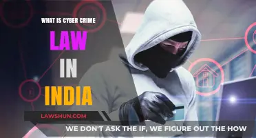 Cyber Crime Law: India's Digital Defense