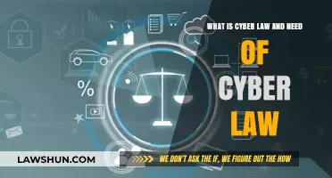Understanding Cyber Law: Importance and Necessity in the Digital Age