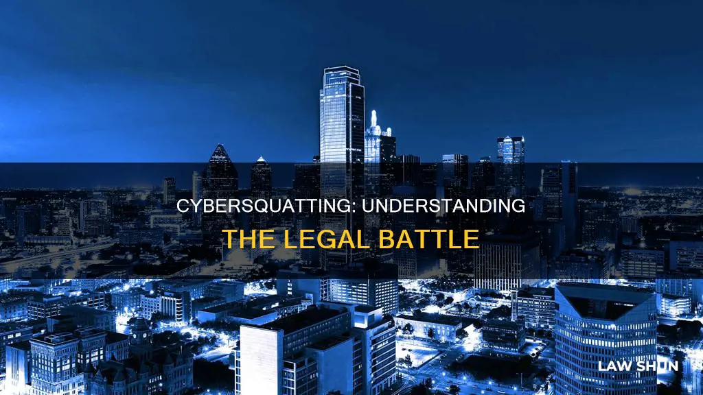 what is cybersquatting explain with the help of case laws