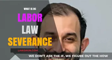 Understanding DC Labor Law: Severance Pay Rights and Requirements