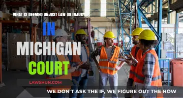 Understanding Unjust Law and Injury Claims in Michigan Courts