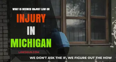 Understanding Unjust Laws and Injuries Under Michigan Legal Standards