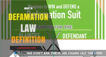 Understanding Defamation Law: Definition, Scope, and Legal Implications Explained
