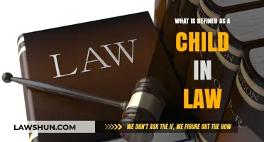 Understanding Legal Definitions: What Constitutes a Child in Law?