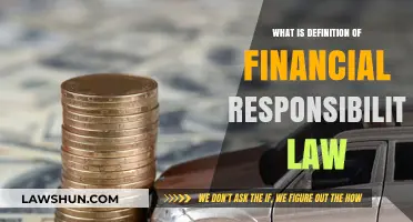 Understanding Financial Responsibility Law: Definition, Importance, and Legal Implications