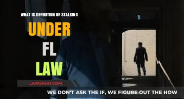 Understanding Stalking: Florida Law's Definition and Legal Implications