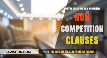 Delaware Non-Compete Clauses: Legal Insights and Enforcement Guidelines