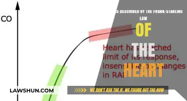Understanding the Frank-Starling Law: Heart Function and Stroke Volume Explained
