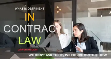 Understanding Detriment: A Key Concept in Contract Law