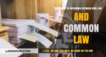 Civil vs Common Law: What's the Difference?