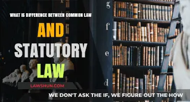 Common Law vs Statutory Law: What's the Difference?