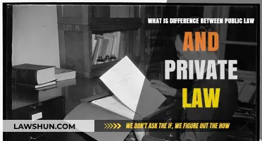 Public vs Private Law: What's the Difference?
