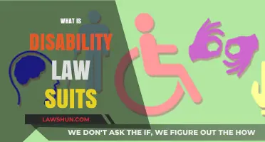Understanding Disability Lawsuits: Rights, Protections, and Legal Recourse Explained