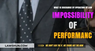 Understanding Discharge by Operation of Law: Impossibility of Performance Explained