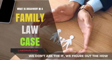 Uncovering the Truth: Family Law Discovery