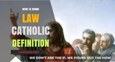 Understanding Divine Law: A Catholic Perspective on Sacred Teachings