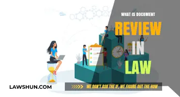 Understanding Document Review in Law: Essential Process Explained