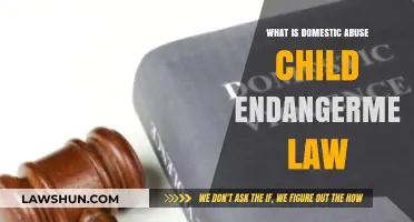 Understanding Domestic Abuse and Child Endangerment Laws: A Comprehensive Guide