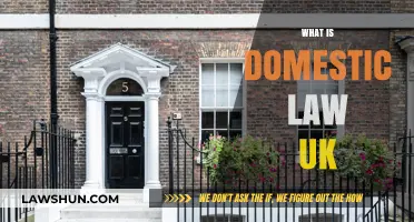 Understanding Domestic Law in the UK: An Overview