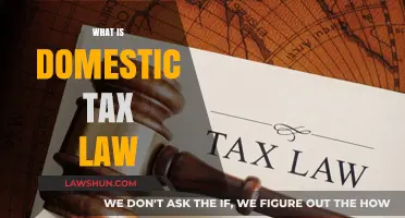 Understanding Domestic Tax Law Basics