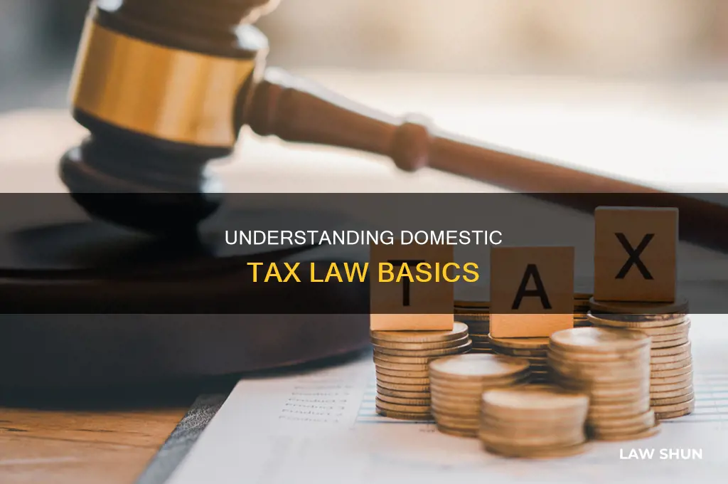 what is domestic tax law