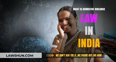 Domestic Violence Laws in India: Understanding the Basics