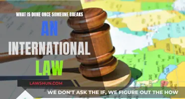 International Law Violations: What Are the Consequences?